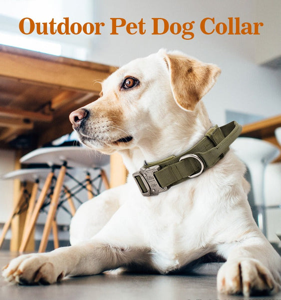 High Quality Heavy Duty Metal Buckle Pet Collar strong Dogs collar and leash set Tactical Dog Collar(Bulk 3 Sets)
