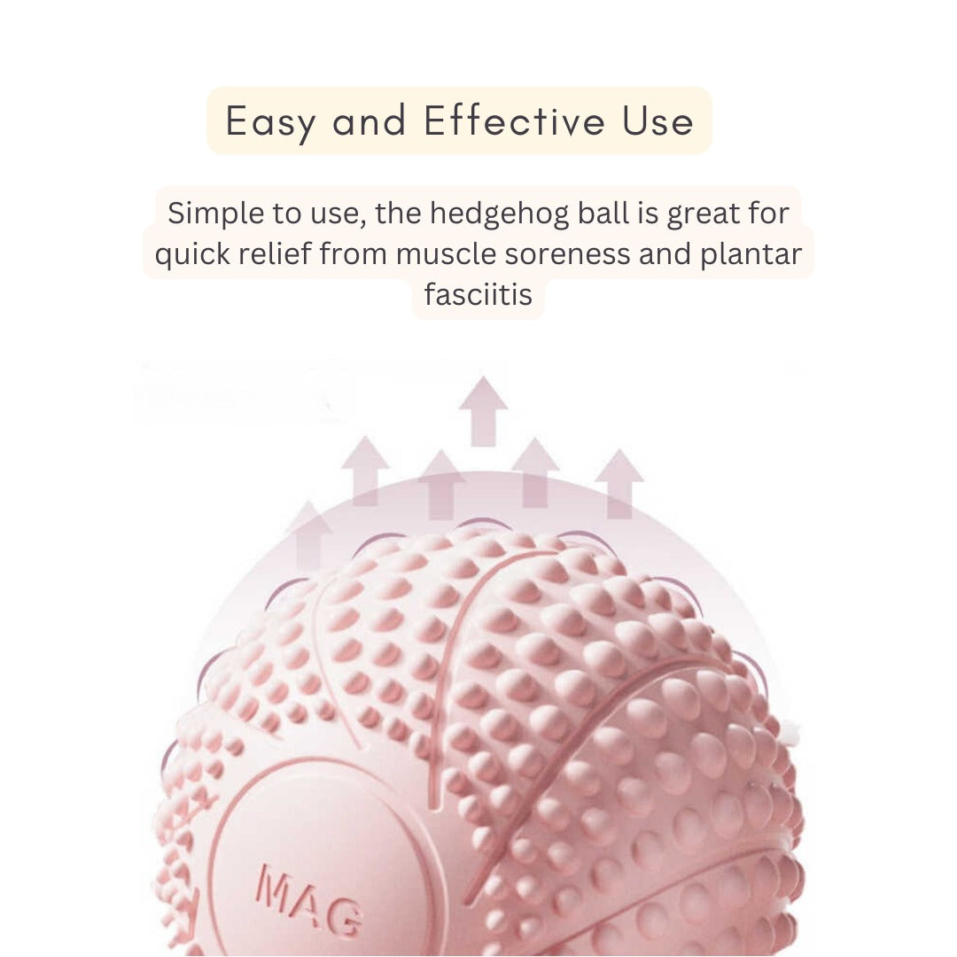 Hedgehog ball magnetic fitness Muscle Therapy & Seven-balls back roller massager Combo Pack(10 Pack)