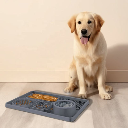 Silicon Lick Mat Bowl with Suction Cups for Dry Wet Slow Feeding Mat Lick Pad for Pets Anxiety Relief Boredom Reducer