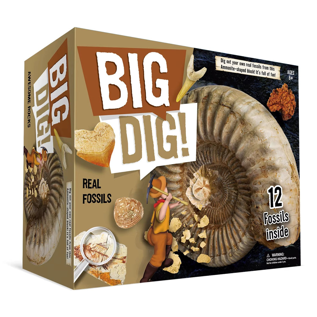 Fossil Dig Kit - Excavate 12 Prehistoric Fossils