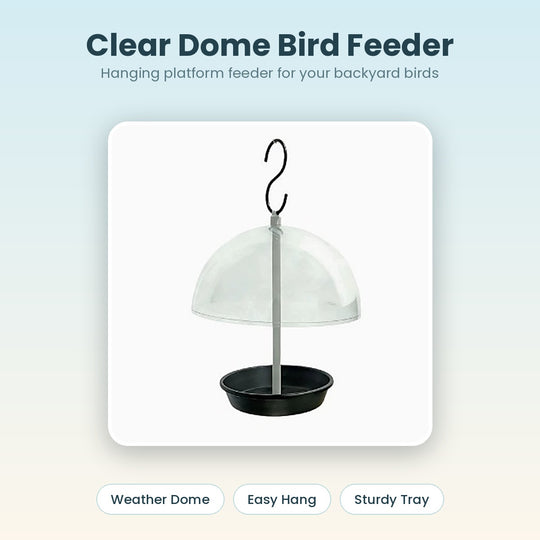 Vigor clear dome hanging bird feeder with black tray