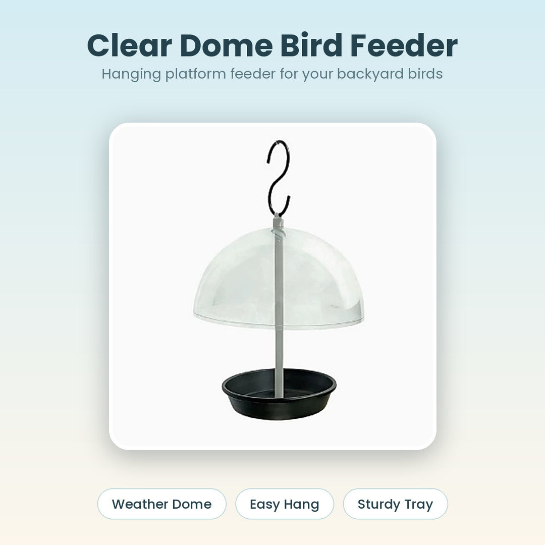 Vigor clear dome hanging bird feeder with black tray
