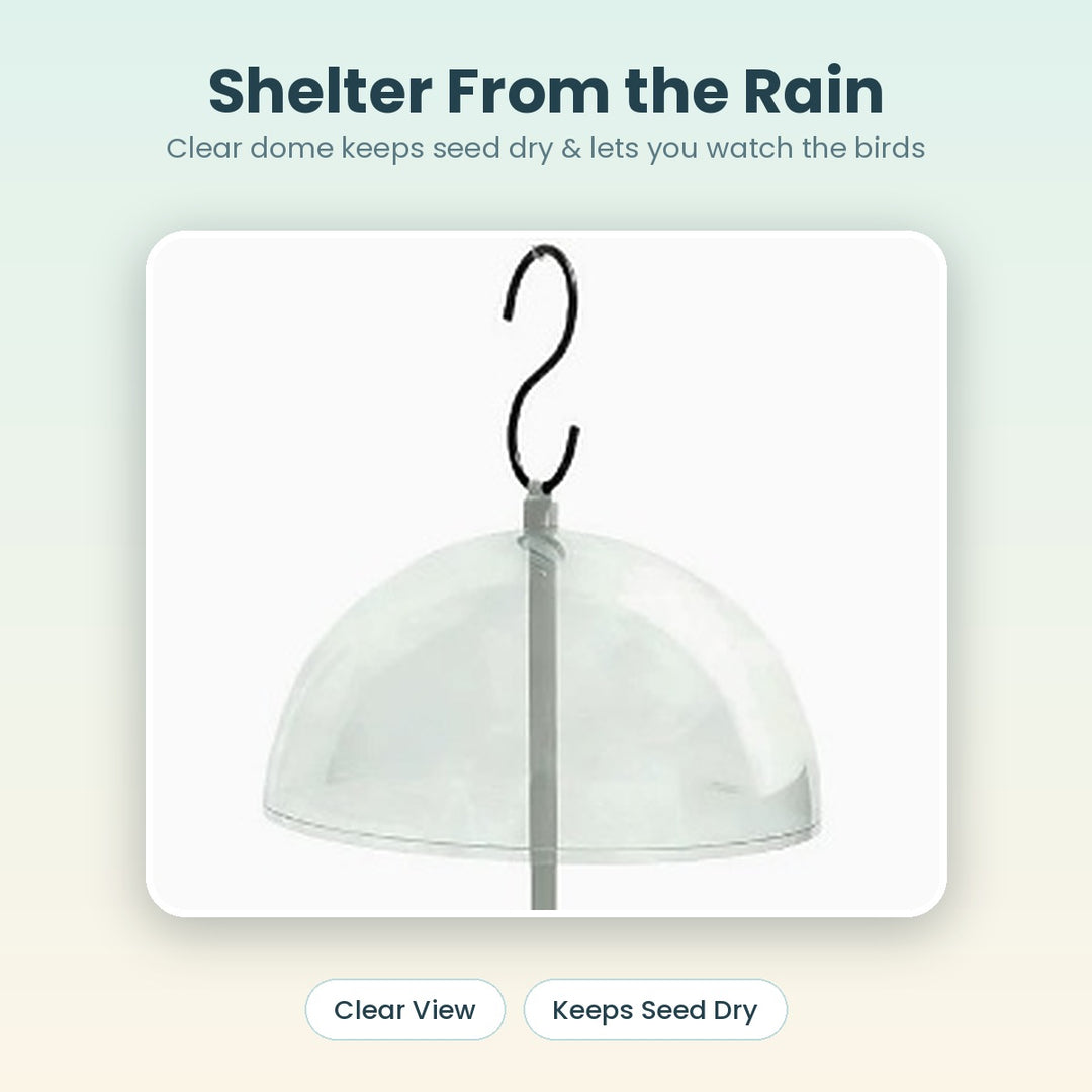 Clear weather dome keeps bird seed dry