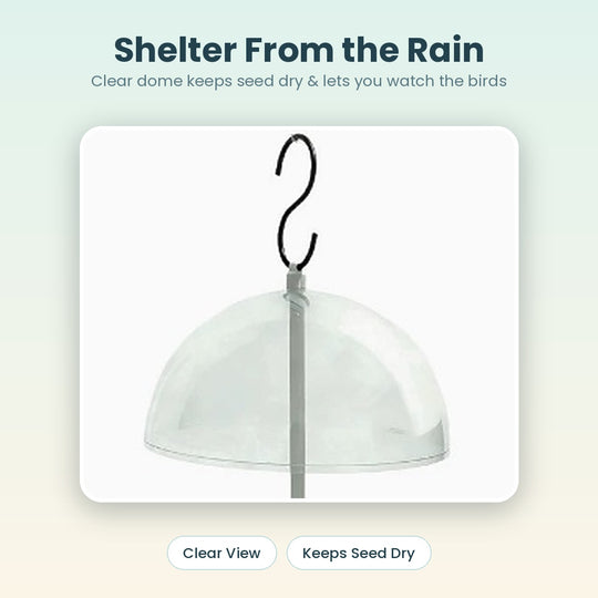 Clear weather dome keeps bird seed dry
