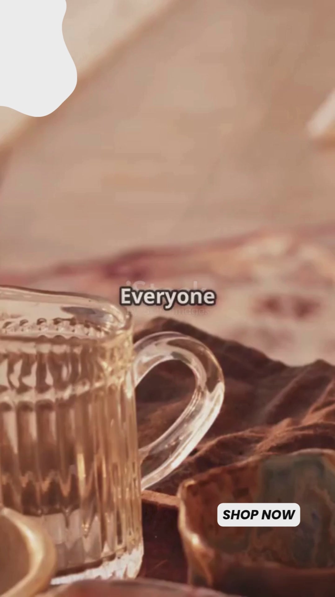 Heat Resistant Borosilicate Glass teapot Blooming and Loose Leaf Tea Maker (MOQ 10 Sets)