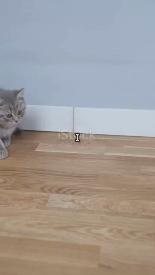 Roman Column Cat Ultimate Scratching Post (MOQ 10 Sets)