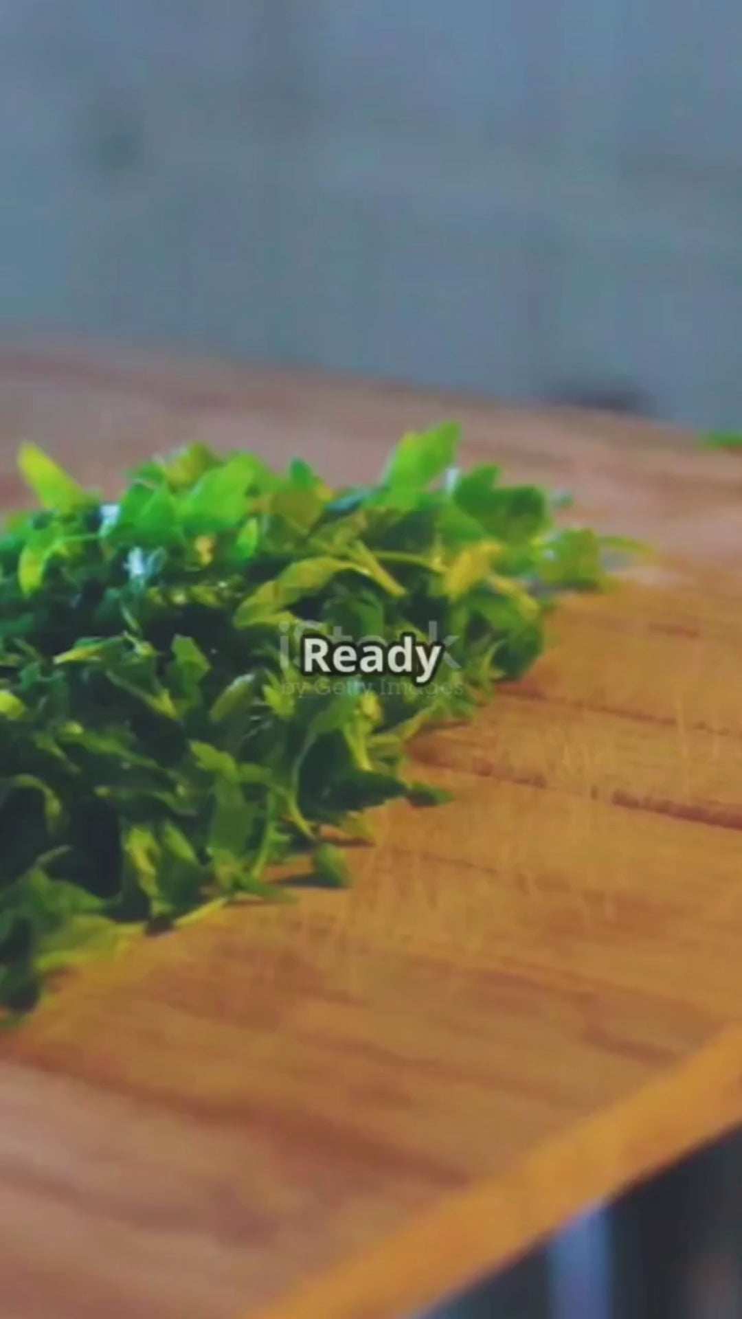 Stainless Steel Oil Separator Soup Ladle fat & Gravy (MOQ 10 Sets)