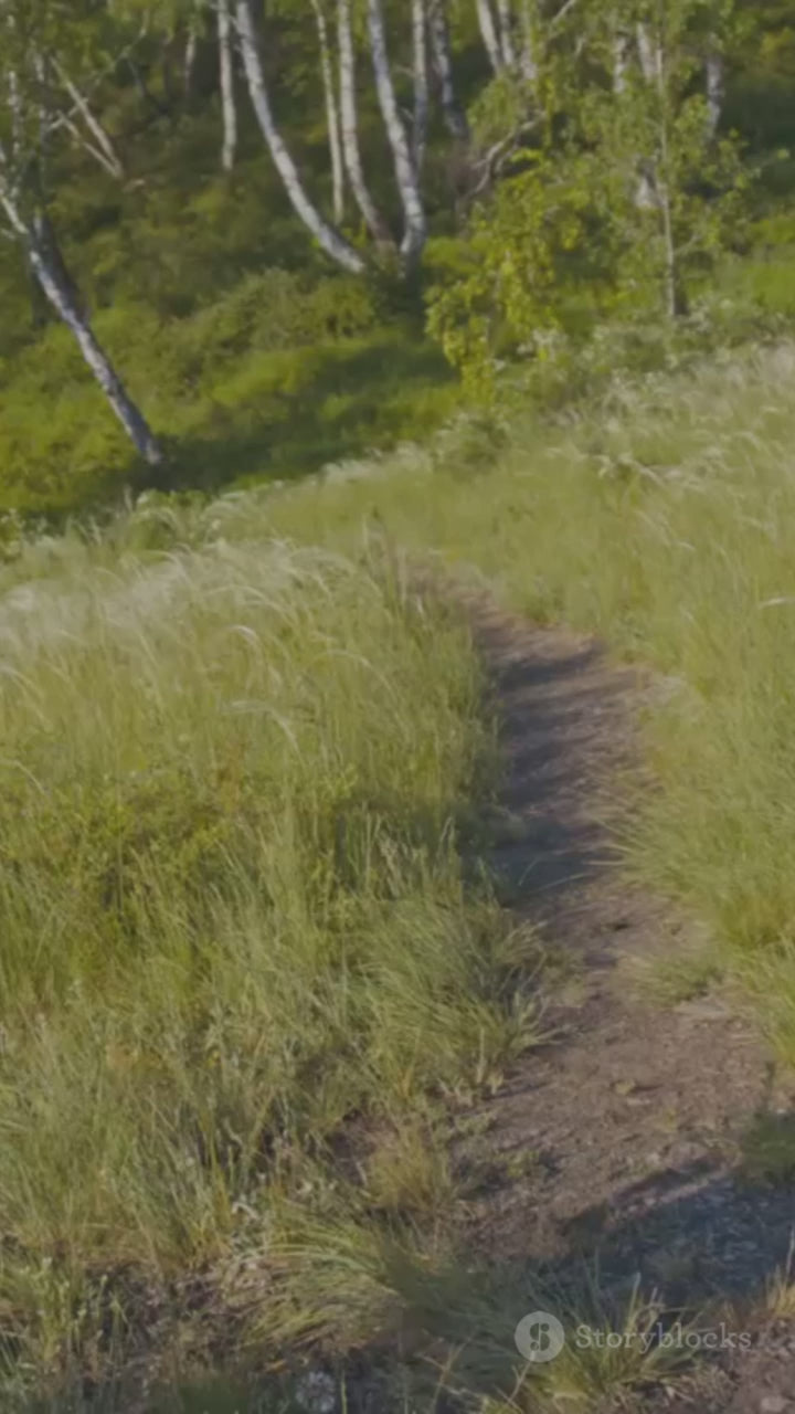 Multifunctional Portable Chair Home Travel Outdoor Portable Folding Stool Hand Basket Folding Stool (MOQ 10 Sets)