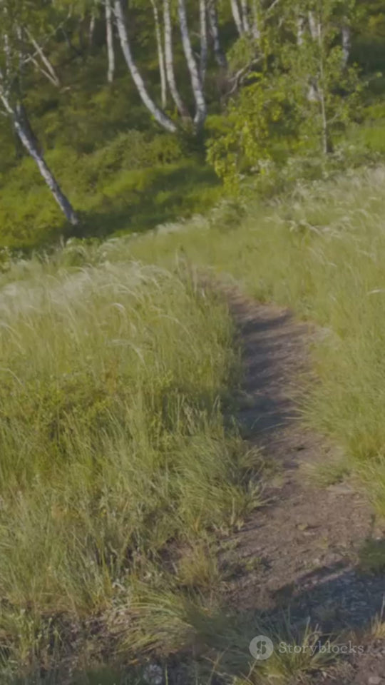 Multifunctional Portable Chair Home Travel Outdoor Portable Folding Stool Hand Basket Folding Stool (MOQ 10 Sets)