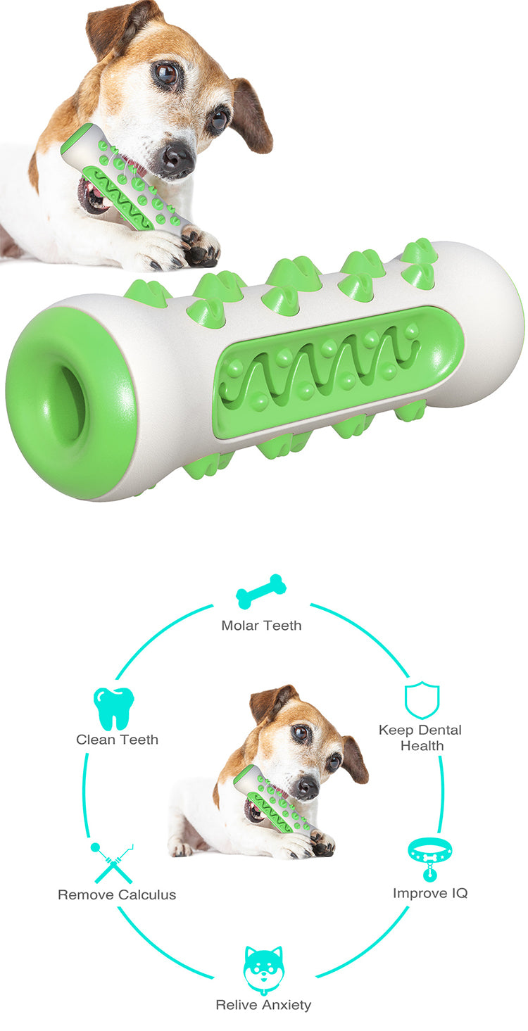 Squeaky Bone Stick Toy Chew Toothbrush for Pets