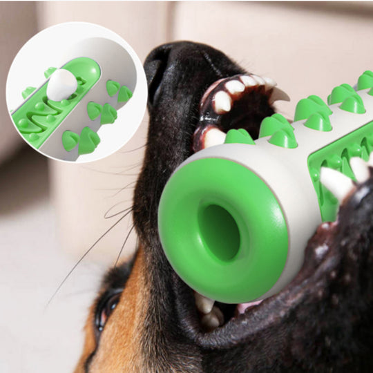 Squeaky Bone Stick Toy Chew Toothbrush for Pets