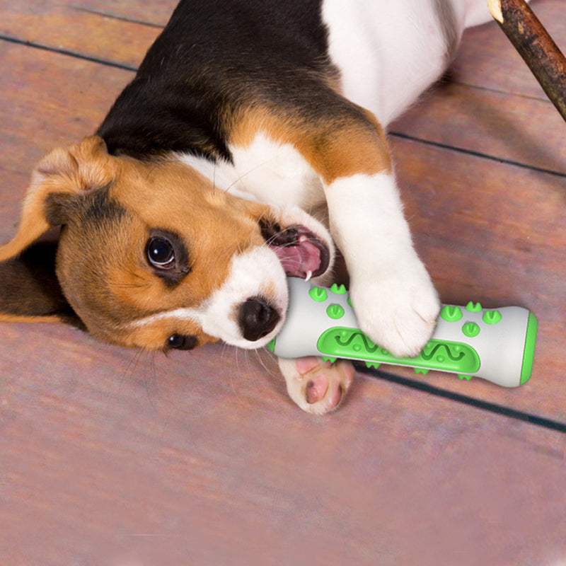 Squeaky Bone Stick Toy Chew Toothbrush for Pets