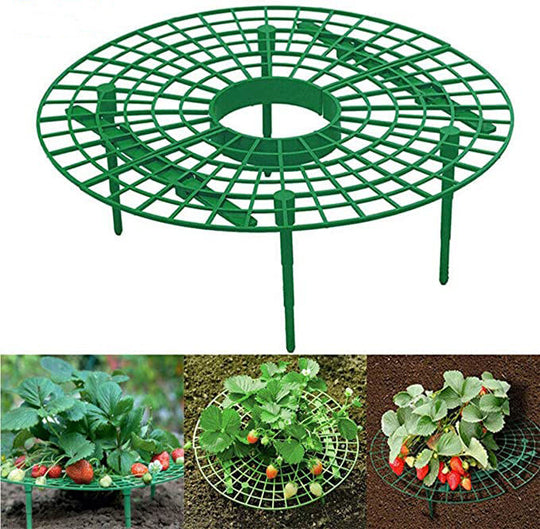 Crawling Plants Height Riser Stand Support Elevated Growing - 10 pcs