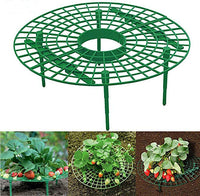 Crawling Plants Height Riser Stand Support Elevated Growing - 30 pcs