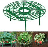 Crawling Plants Height Riser Stand Support Elevated Growing - 30 pcs