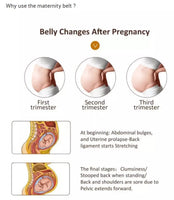 Maternity & Pregnancy Waist/Back/Abdomen Band, Belly Brace