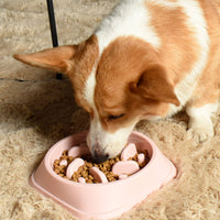 Dog feeder Bowl Puzzle Anti Gulping Interactive Bloat Durable Preventing Choking - MOQ 10 pcs